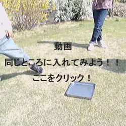 投げゴマ動画 同じところに入れてみよう!