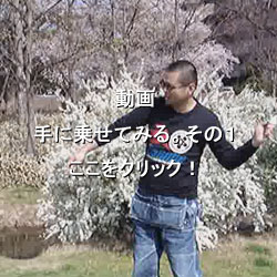 投げゴマ
