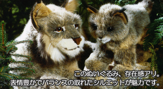 koesen/�P�[�Z���Ё@�����ʂ������