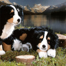 犬
