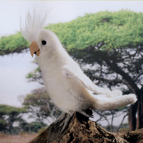 Koesen ケーセン社 オカメインコ 白 木のおもちゃ がりとん Galiton