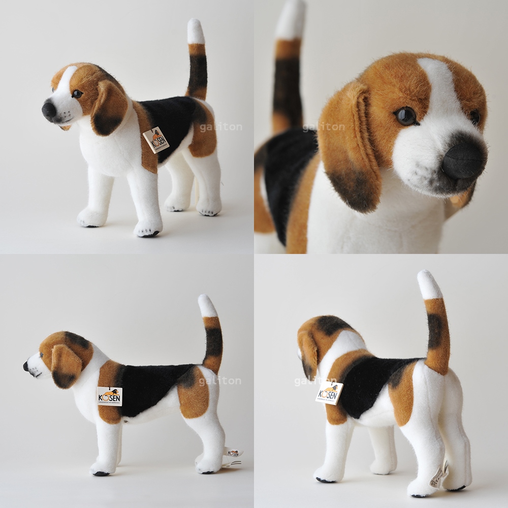 Koesen/P-Z  r-O / BEAGLE, STANDING