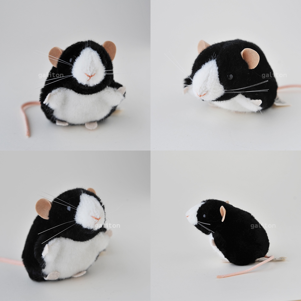 Koesen/P-Z  ˂  / MOUSE, BLACK-WHITE