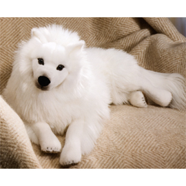 ケーセン Koesen 日本スピッツ 伏せ JAPANESE SPITZ LYING ： 木の