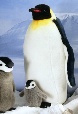 cyM() / EMPEROR PENGUIN