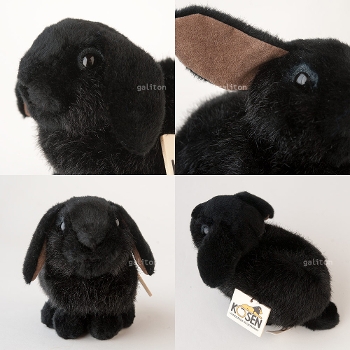 P[Z Koesen h[tbv̎q  YOUNG DWARF LOP, BLACK