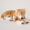 Č  / SHIBA INU, LYING