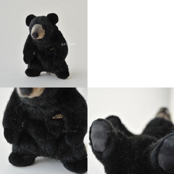 Koesen/P[Z xA /BLACK BEAR