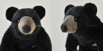 Koesen/P[Z xA /BLACK BEAR