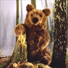 \tguExA() / BROWN BEAR, SITTING