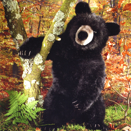 \tgubNxA() / BLACK BEAR, SITTING