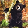 \tgubNxA() / BLACK BEAR, SITTING