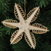 �N���X�}�X�I�[�i�����g